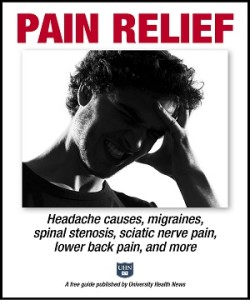 FreeGuide_cover_Pain_wShield_300
